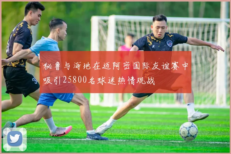 秘鲁与海地在迈阿密国际友谊赛中吸引25800名球迷热情观战